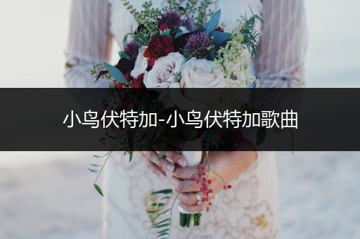 小鸟伏特加-小鸟伏特加歌曲