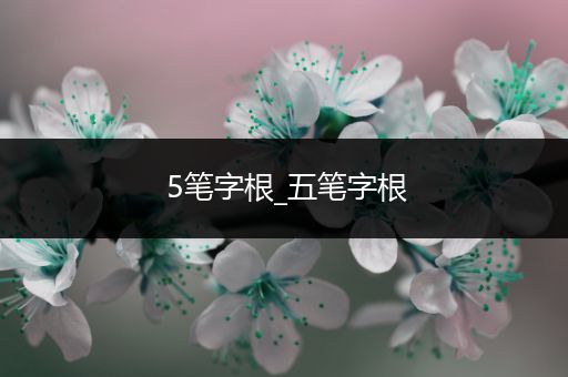 5笔字根_五笔字根
