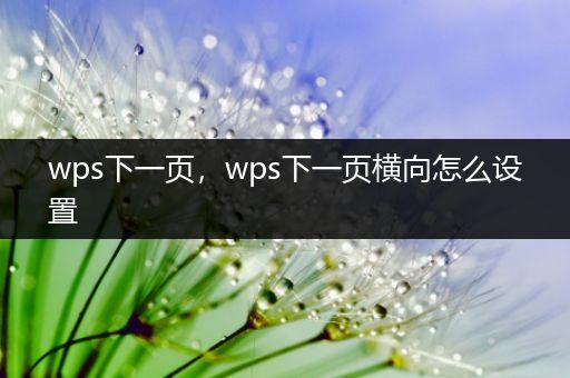 wps下一页,wps下一页横向怎么设置