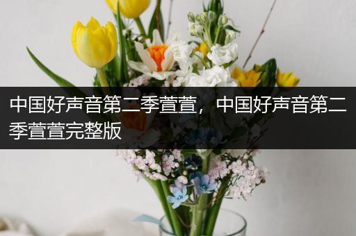 中国好声音第二季萱萱,中国好声音第二季萱萱完整版