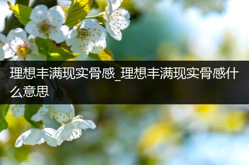 理想丰满现实骨感_理想丰满现实骨感什么意思