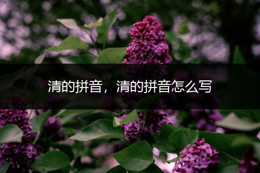 清的拼音,清的拼音怎么写