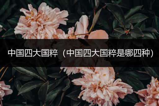 中国四大国粹(中国四大国粹是哪四种)