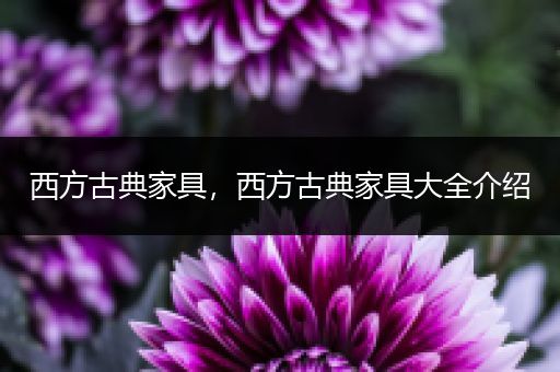 西方古典家具,西方古典家具大全介绍