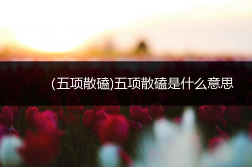 (五项散磕)五项散磕是什么意思