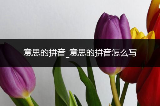 意思的拼音_意思的拼音怎么写