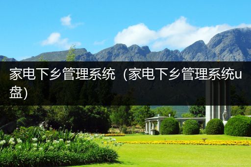 家电下乡管理系统(家电下乡管理系统u盘)