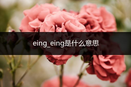 eing_eing是什么意思