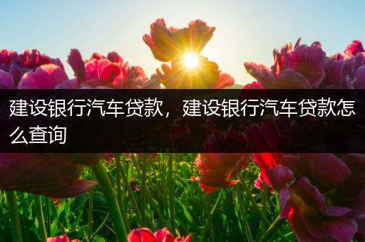 建设银行汽车贷款,建设银行汽车贷款怎么查询