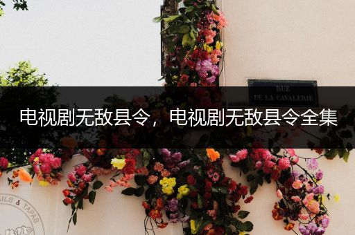 电视剧无敌县令,电视剧无敌县令全集