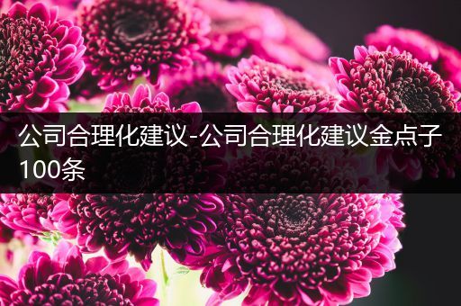 公司合理化建议-公司合理化建议金点子100条