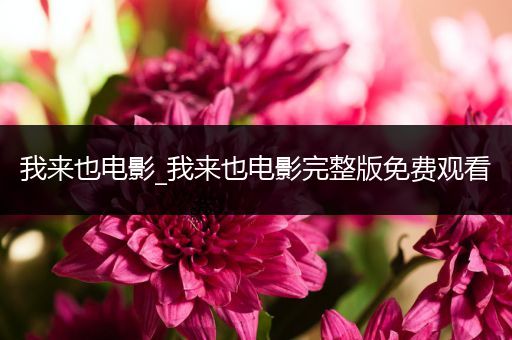 我来也电影_我来也电影完整版免费观看