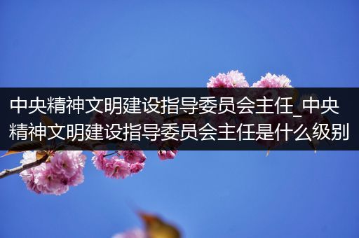 中央精神文明建设指导委员会主任_中央精神文明建设指导委员会主任是什么级别