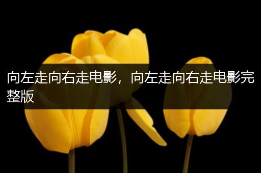 向左走向右走电影,向左走向右走电影完整版
