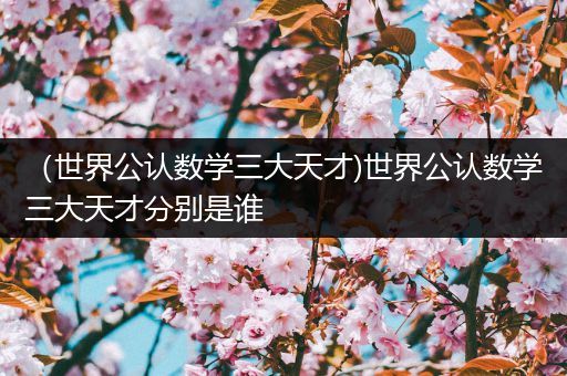 (世界公认数学三大天才)世界公认数学三大天才分别是谁