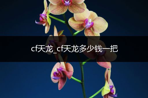 cf天龙_cf天龙多少钱一把