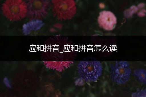 应和拼音_应和拼音怎么读