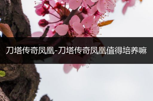刀塔传奇凤凰-刀塔传奇凤凰值得培养嘛