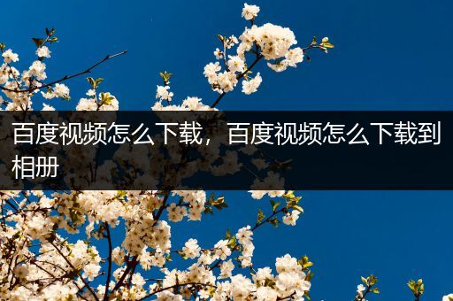 百度视频怎么下载,百度视频怎么下载到相册