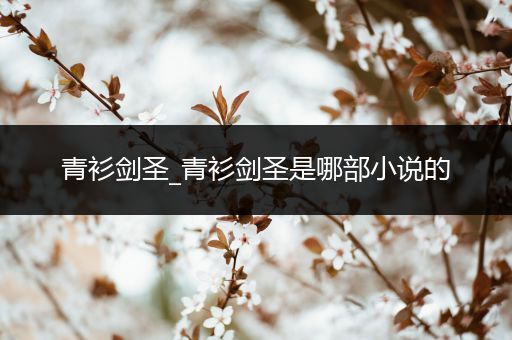 青衫剑圣_青衫剑圣是哪部小说的