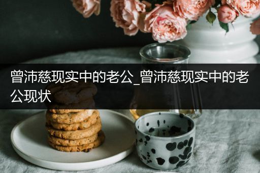 曾沛慈现实中的老公_曾沛慈现实中的老公现状