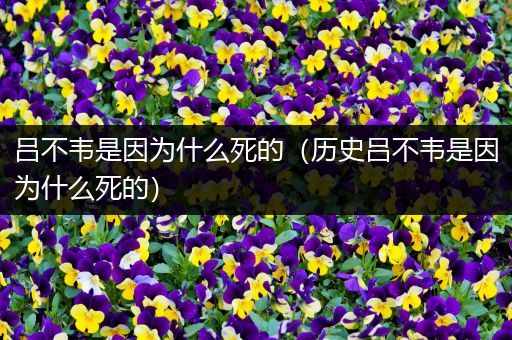 吕不韦是因为什么死的(历史吕不韦是因为什么死的)