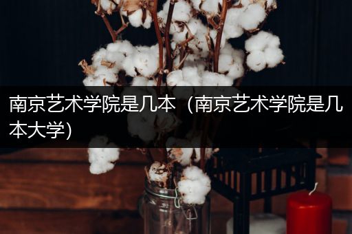 南京艺术学院是几本(南京艺术学院是几本大学)