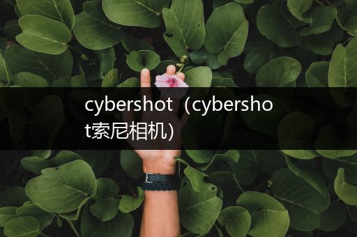 cybershot(cybershot索尼相机)