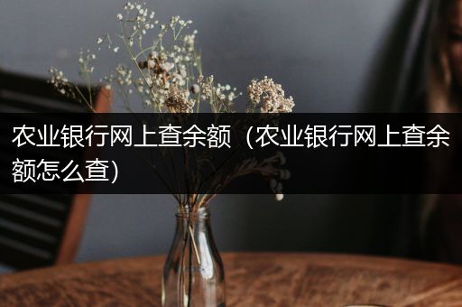 农业银行网上查余额(农业银行网上查余额怎么查)