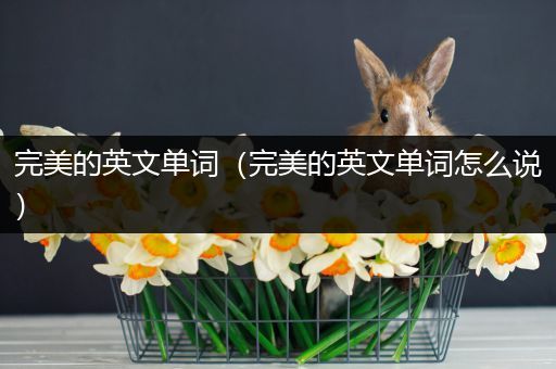 完美的英文单词(完美的英文单词怎么说)