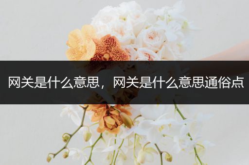 网关是什么意思,网关是什么意思通俗点