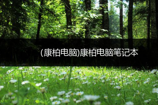 (康柏电脑)康柏电脑笔记本
