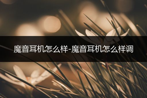 魔音耳机怎么样-魔音耳机怎么样调