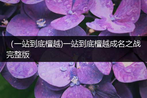 (一站到底檀越)一站到底檀越成名之战完整版