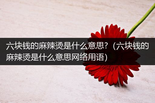 六块钱的麻辣烫是什么意思?(六块钱的麻辣烫是什么意思网络用语)