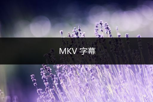 MKV 字幕