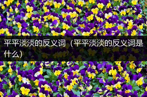 平平淡淡的反义词(平平淡淡的反义词是什么)