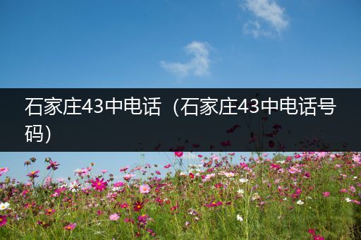 石家庄43中电话(石家庄43中电话号码)