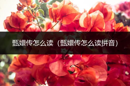 甄嬛传怎么读(甄嬛传怎么读拼音)
