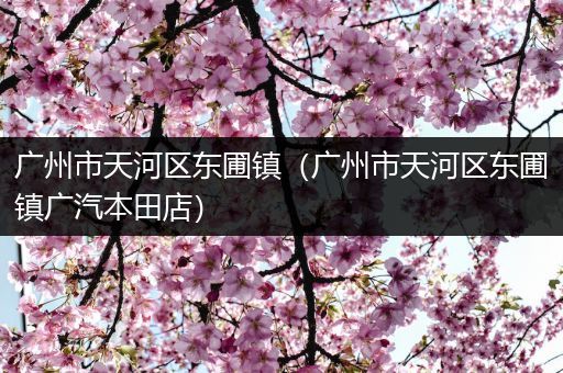 广州市天河区东圃镇(广州市天河区东圃镇广汽本田店)