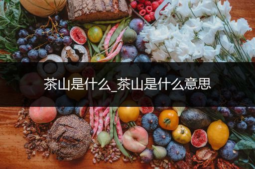 茶山是什么_茶山是什么意思