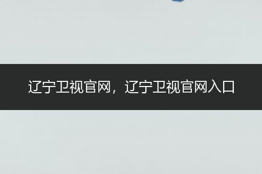 辽宁卫视官网,辽宁卫视官网入口