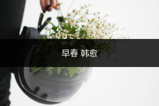 早春 韩愈