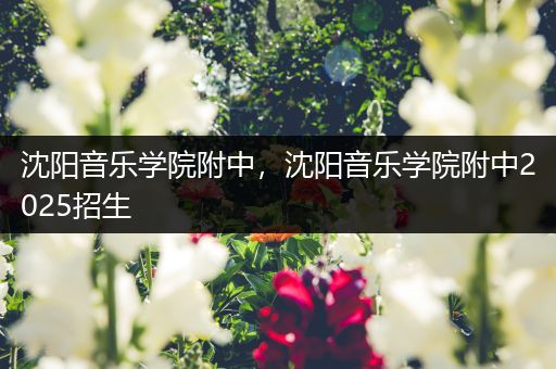 沈阳音乐学院附中,沈阳音乐学院附中2025招生