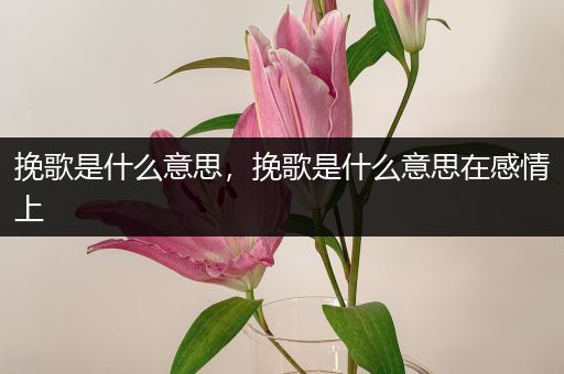 挽歌是什么意思,挽歌是什么意思在感情上