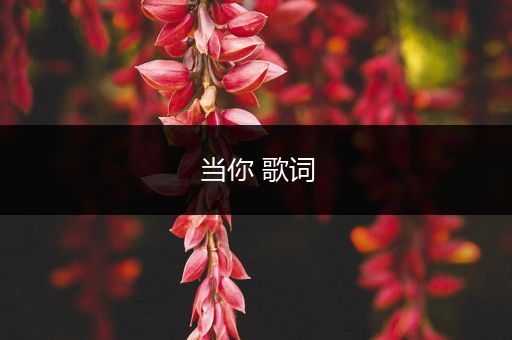 当你 歌词