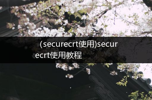 (securecrt使用)securecrt使用教程