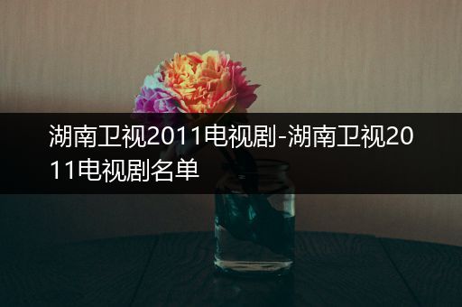 湖南卫视2011电视剧-湖南卫视2011电视剧名单