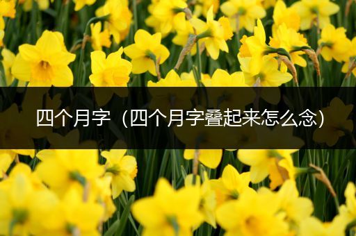 四个月字(四个月字叠起来怎么念)