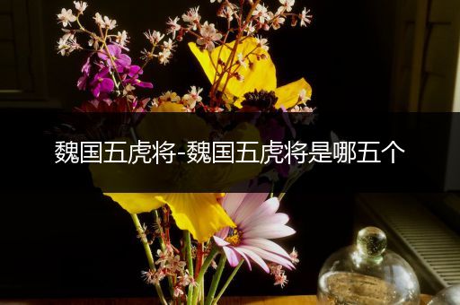 魏国五虎将-魏国五虎将是哪五个